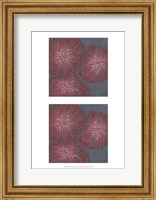 2-Up Dianthus I Fine Art Print