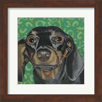 Dlynn's Dogs - Keelie Fine Art Print