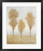 Autumn Springs II Framed Print