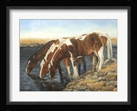 Tres Caballos Fine Art Print