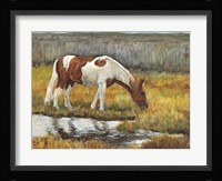 Meadow Munching Fine Art Print