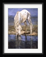 Rhapsody in Blue Fine Art Print