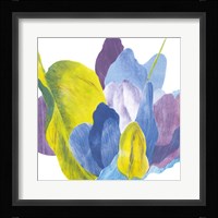 False Indigo III Fine Art Print