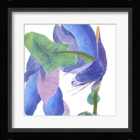 Surprise Indigo II Fine Art Print