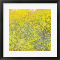 Hive I Fine Art Print