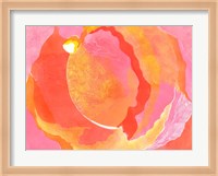 Cabbage Rose I Fine Art Print