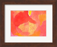 Cabbage Rose II Fine Art Print