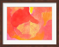 Cabbage Rose II Fine Art Print
