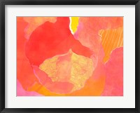 Cabbage Rose II Framed Print