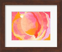 Cabbage Rose III Fine Art Print