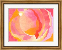 Cabbage Rose III Fine Art Print