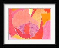 Cabbage Rose IV Fine Art Print