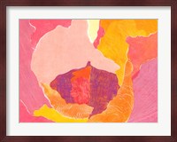 Cabbage Rose VI Fine Art Print