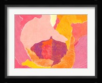 Cabbage Rose VI Fine Art Print