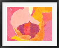 Cabbage Rose VI Fine Art Print