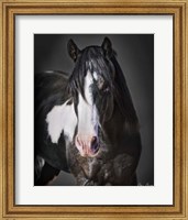 Horse Portrait II Fine Art Print