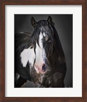 Horse Portrait II Fine Art Print