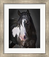 Horse Portrait II Fine Art Print