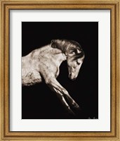 Horse Portrait IV Fine Art Print