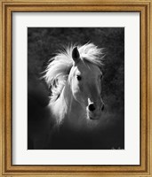 Horse Portrait V Fine Art Print