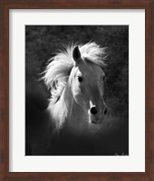 Horse Portrait V Fine Art Print