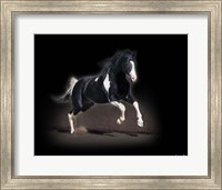 Horse Portrait VIII Fine Art Print