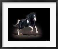 Horse Portrait VIII Fine Art Print