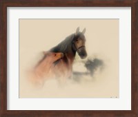 Horse Portrait X Fine Art Print
