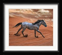 Blazing Horse II Framed Print