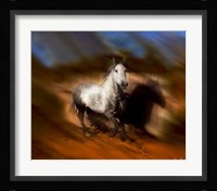 Blazing Horse III Framed Print