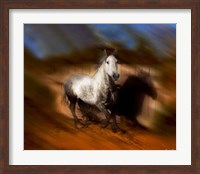 Blazing Horse III Fine Art Print