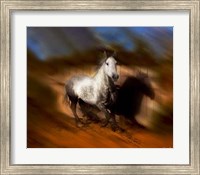 Blazing Horse III Fine Art Print