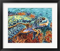 Sea Sweetheart I Framed Print