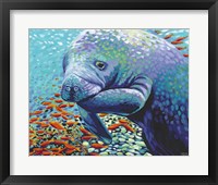 Sea Sweetheart II Framed Print