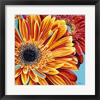 Color Bursts II Framed Print