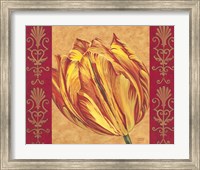 Tulip Power I Fine Art Print