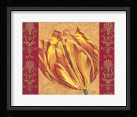 Tulip Power I Framed Print