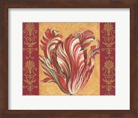 Tulip Power III Fine Art Print