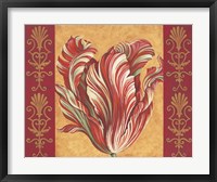 Tulip Power III Fine Art Print
