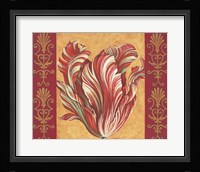 Tulip Power III Fine Art Print