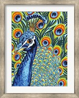 Plumed Peacock I Fine Art Print