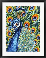 Plumed Peacock I Fine Art Print