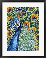 Plumed Peacock I Framed Print