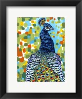 Plumed Peacock II Fine Art Print