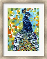 Plumed Peacock II Fine Art Print