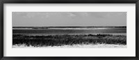 Shore Panorama IV Fine Art Print