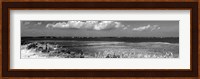 Shore Panorama VII Fine Art Print
