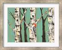 Birch Grove on Teal II Fine Art Print