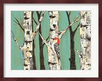 Birch Grove on Teal II Fine Art Print