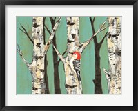 Birch Grove on Teal II Framed Print